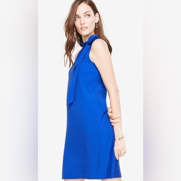 NWT ANNE TAYLOR BLUE SHIFT DRESS Women | Color: Blue | Size: 10P - 10 Petite - Picture 3 of 7